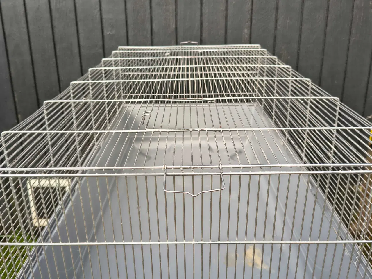 Billede 1 - Marsvin buer