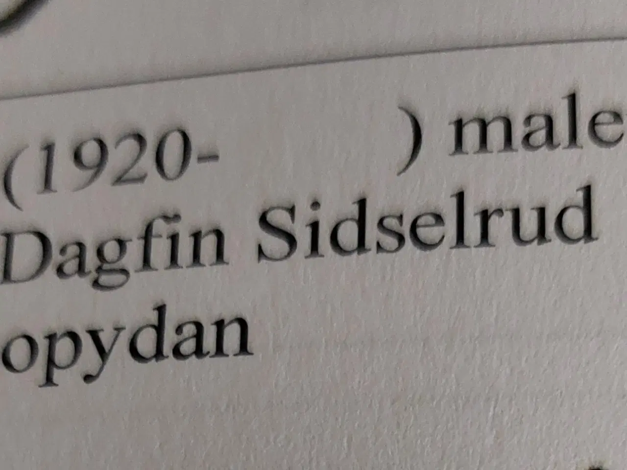 Billede 7 - DAGFIN SIDSELRUD - oliemaleri