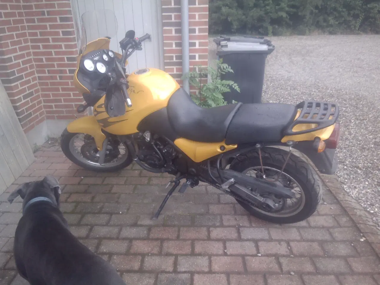 Billede 1 - triumph tiger 900cc