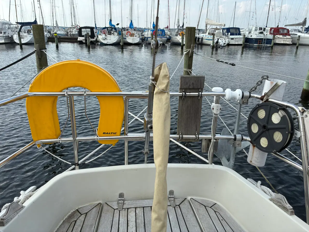 Billede 5 - Blue Dane 32