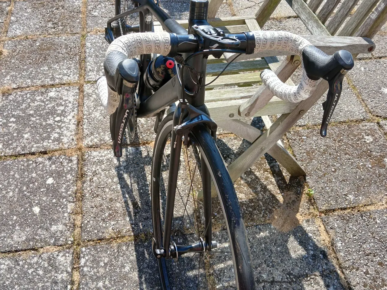 Billede 5 - Pigeracer Giant liv di2 