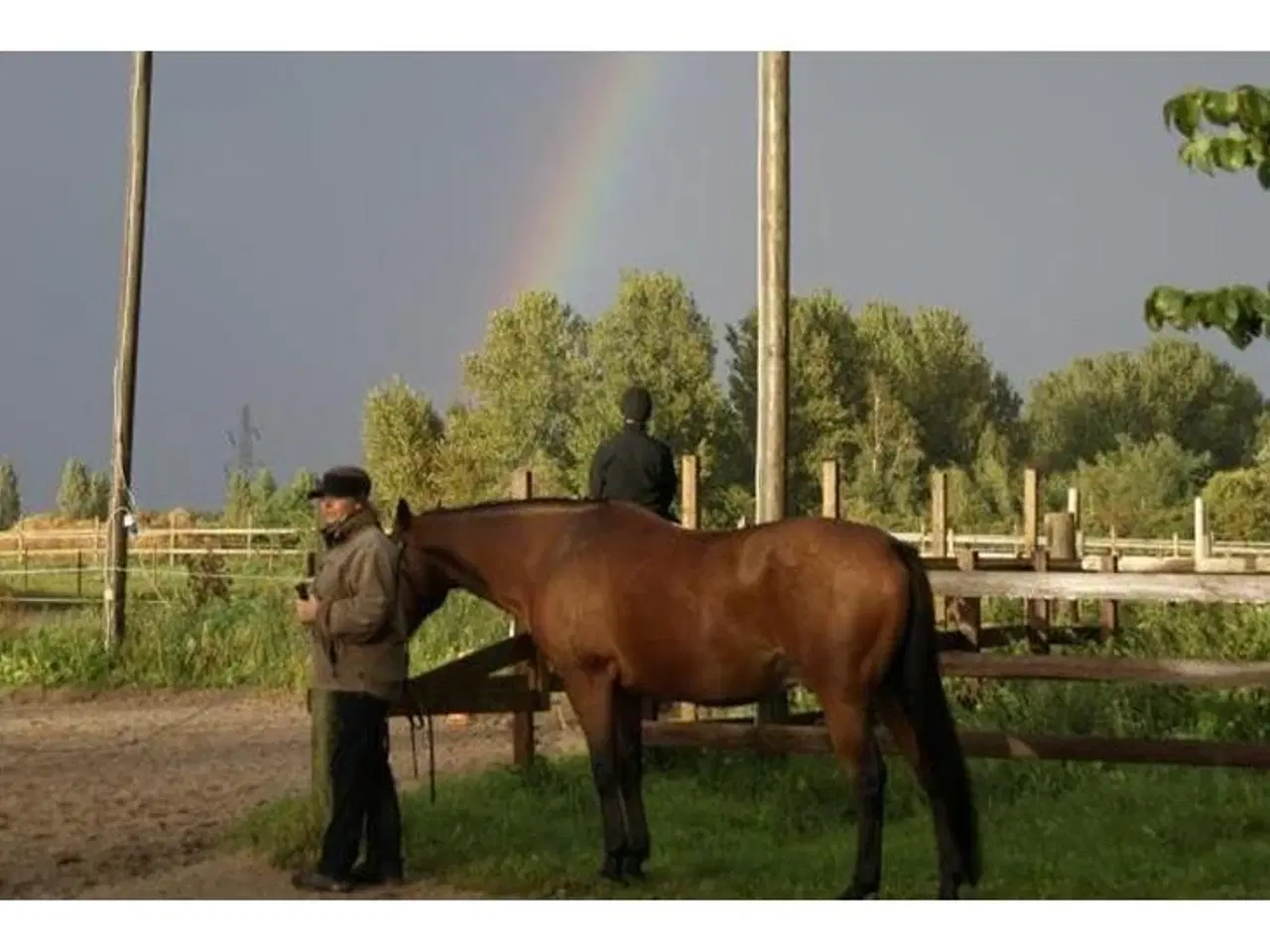 Billede 1 - Danmarks eneste voksenrideskole