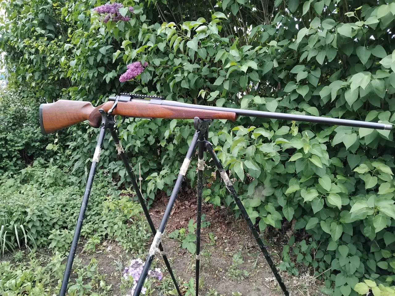 Billede 2 - Browning A-bolt 7mm Rem Mag 