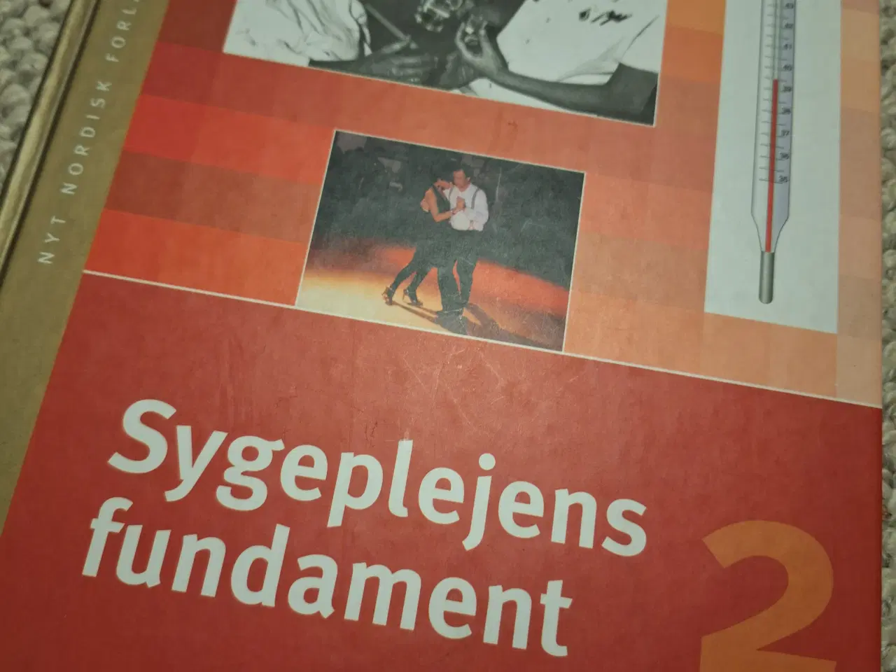 Billede 1 - Sygeplejens fundament 2