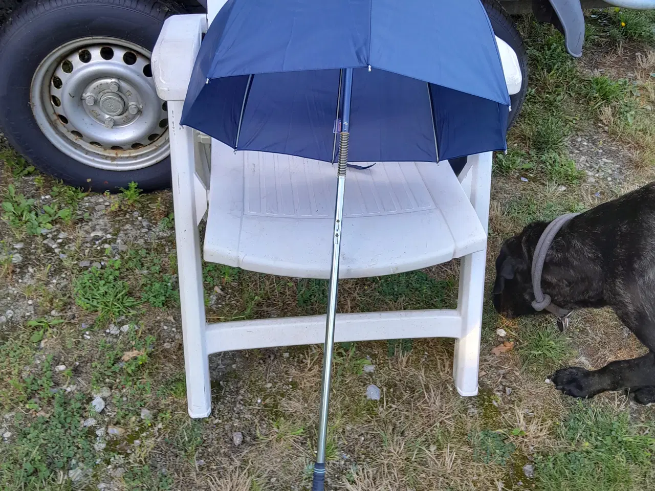 Billede 2 - 31 stk. Golf paraplyer. Blå. Nye. 