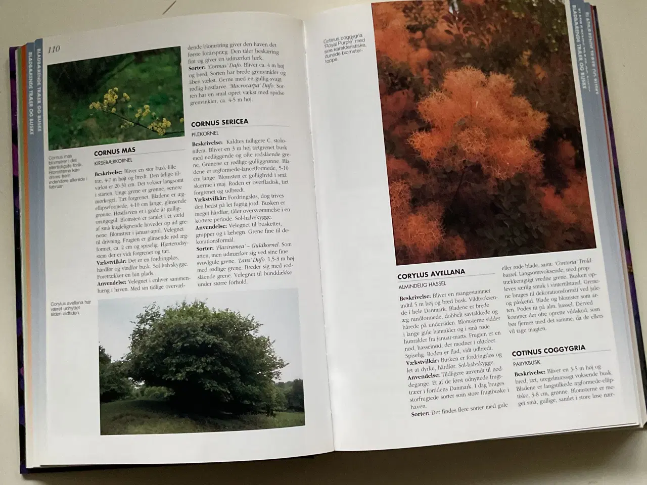 Billede 3 - “Prydhaven” af Eyvind Thorsen.