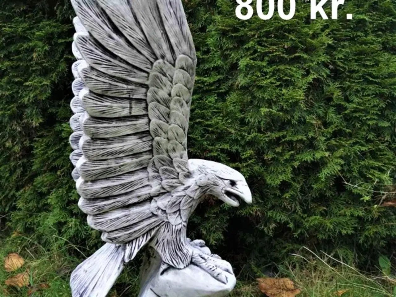 Billede 5 - HAVEFIGUR - ØRN -flere modeller - frostsikre