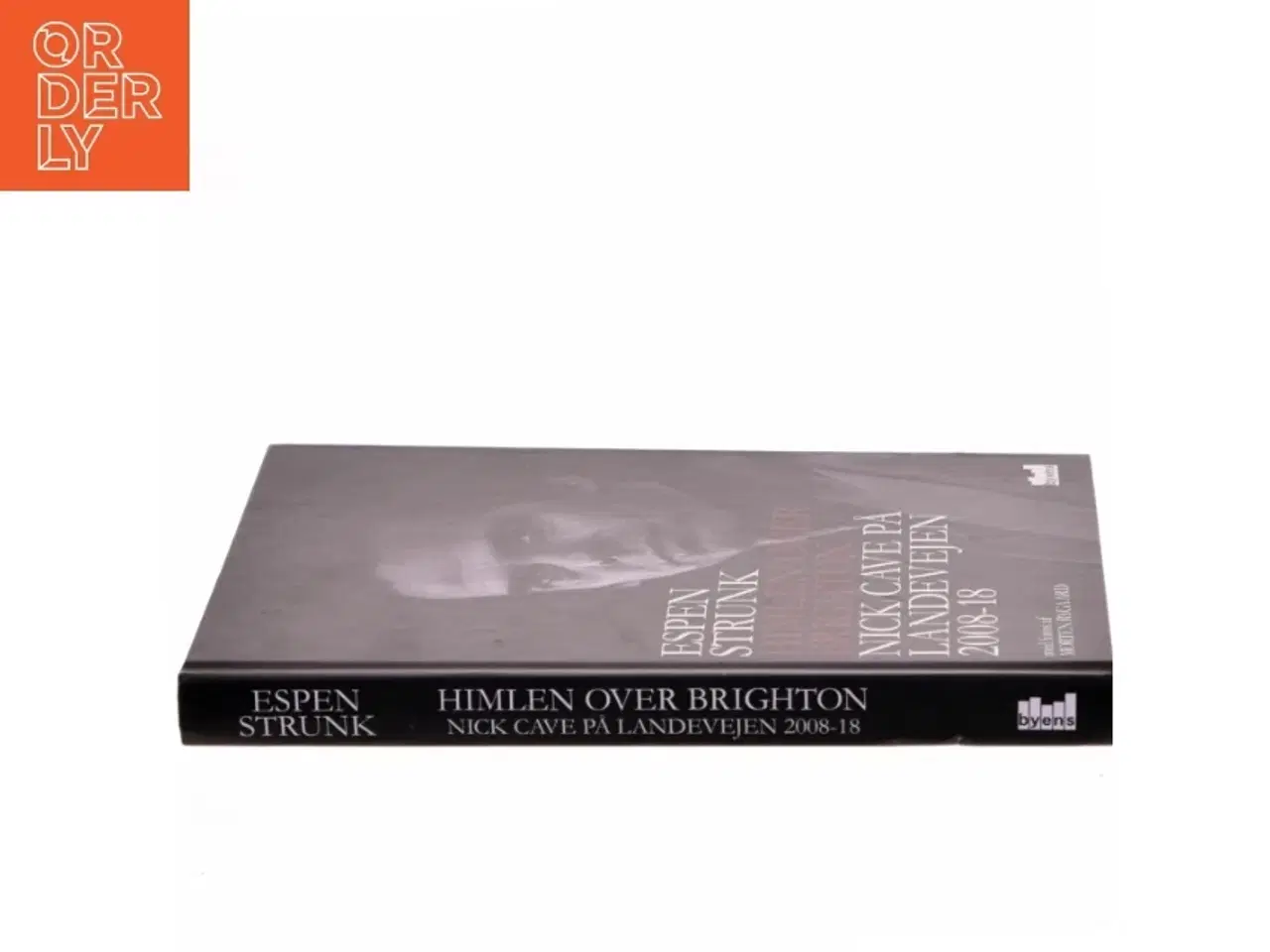 Billede 2 - Himlen over Brighton : Nick Cave på landevejen 2008-18 af Espen Strunk (Bog)
