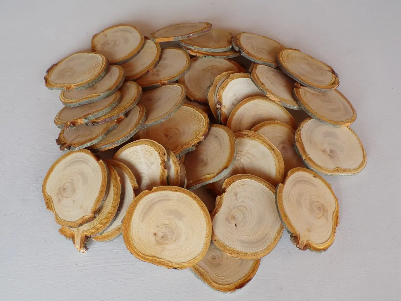 Billede 1 - NYE Træskiver Thuja 8 - 9 cm