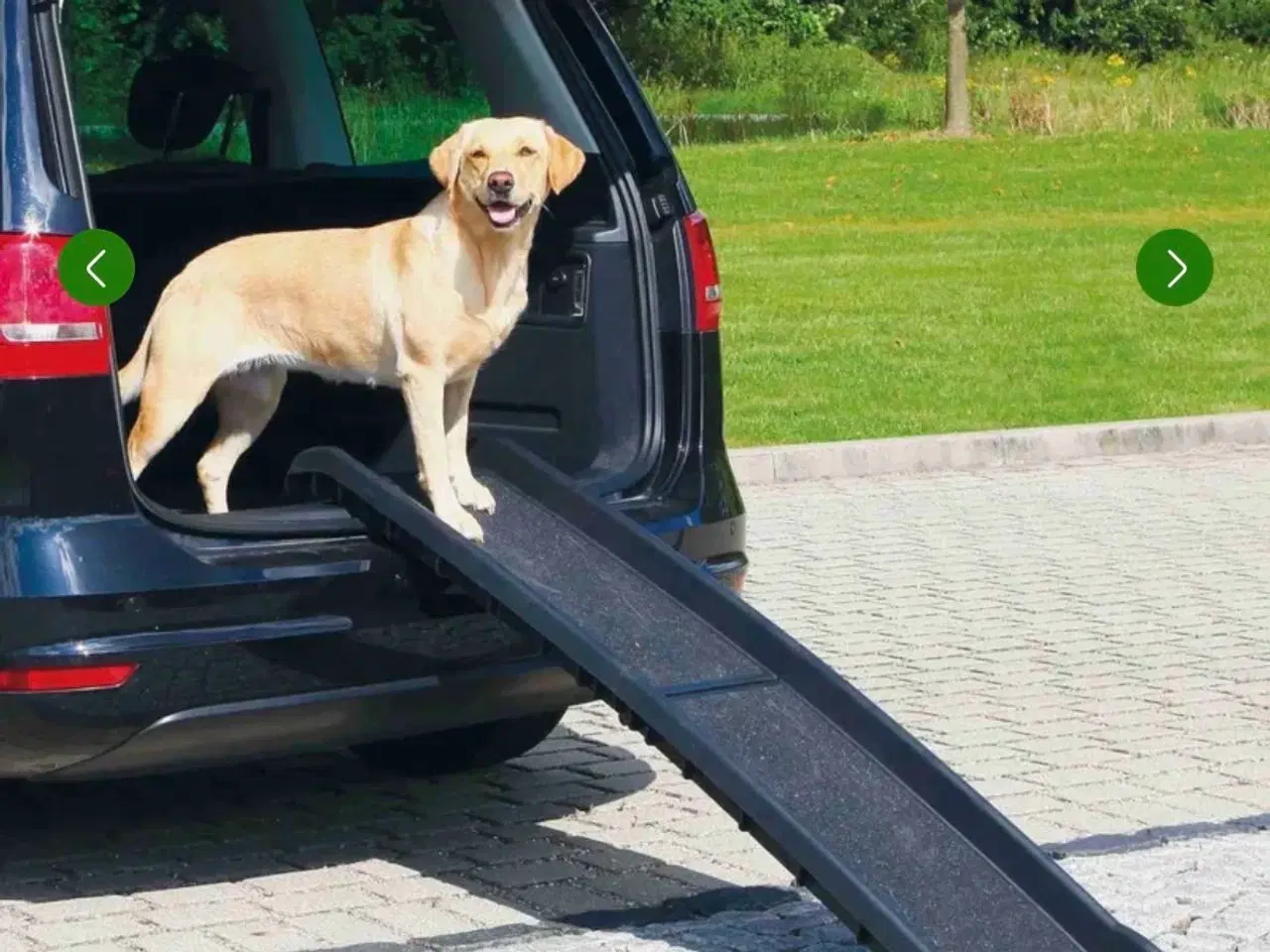 Billede 2 - Hunderampe