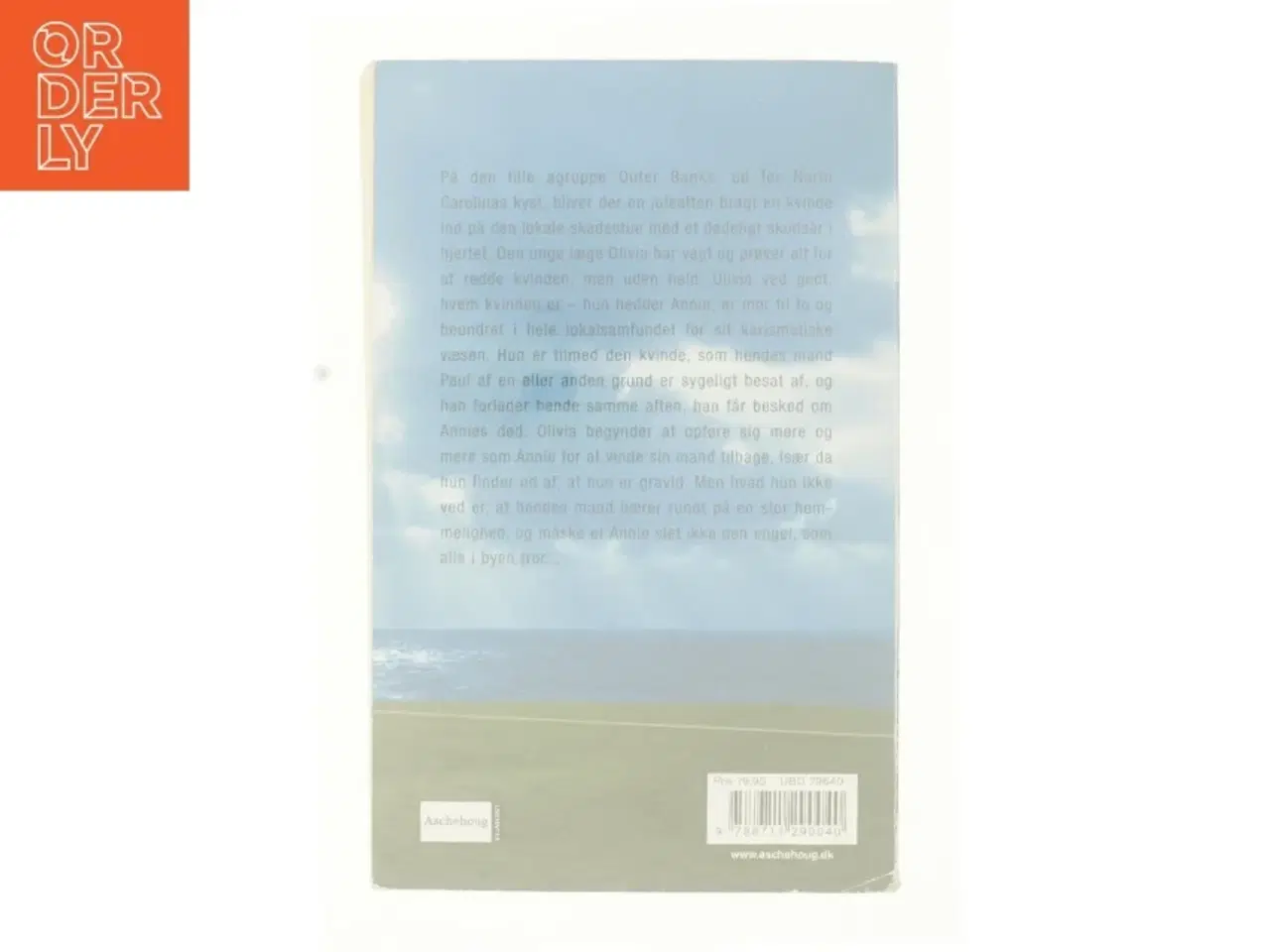 Billede 3 - Sandhedens smerte af Diane Chamberlain (Bog)