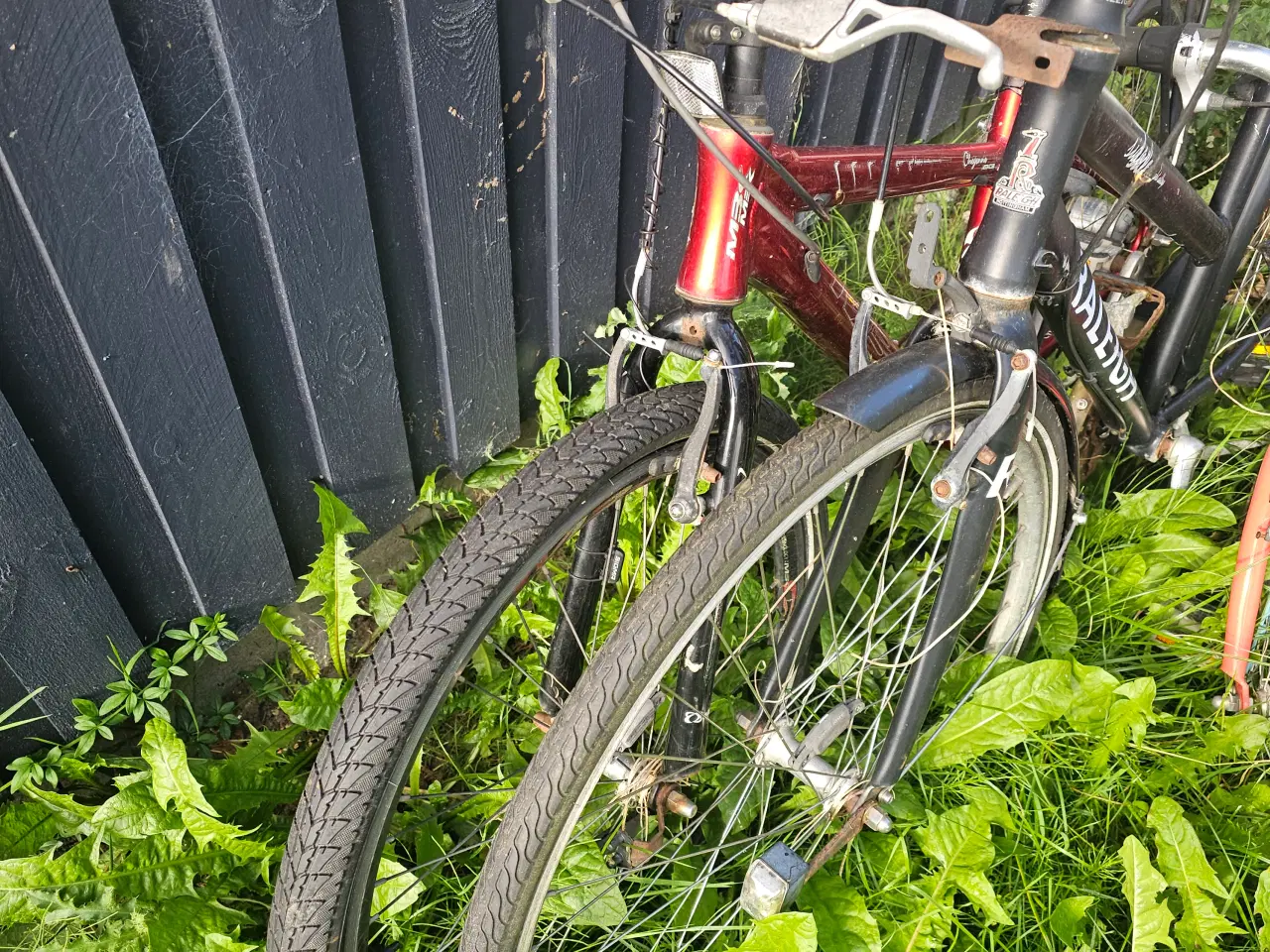 Billede 4 - Cykler – 100kr stk.
