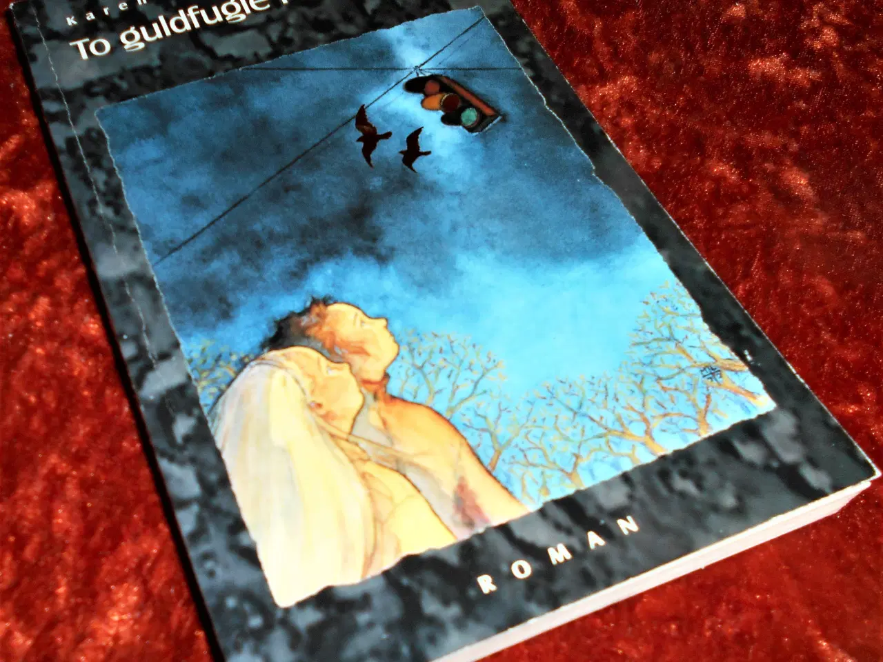 Billede 1 - To guldfugle i trafiklyset, Karen-Sophie Andersen