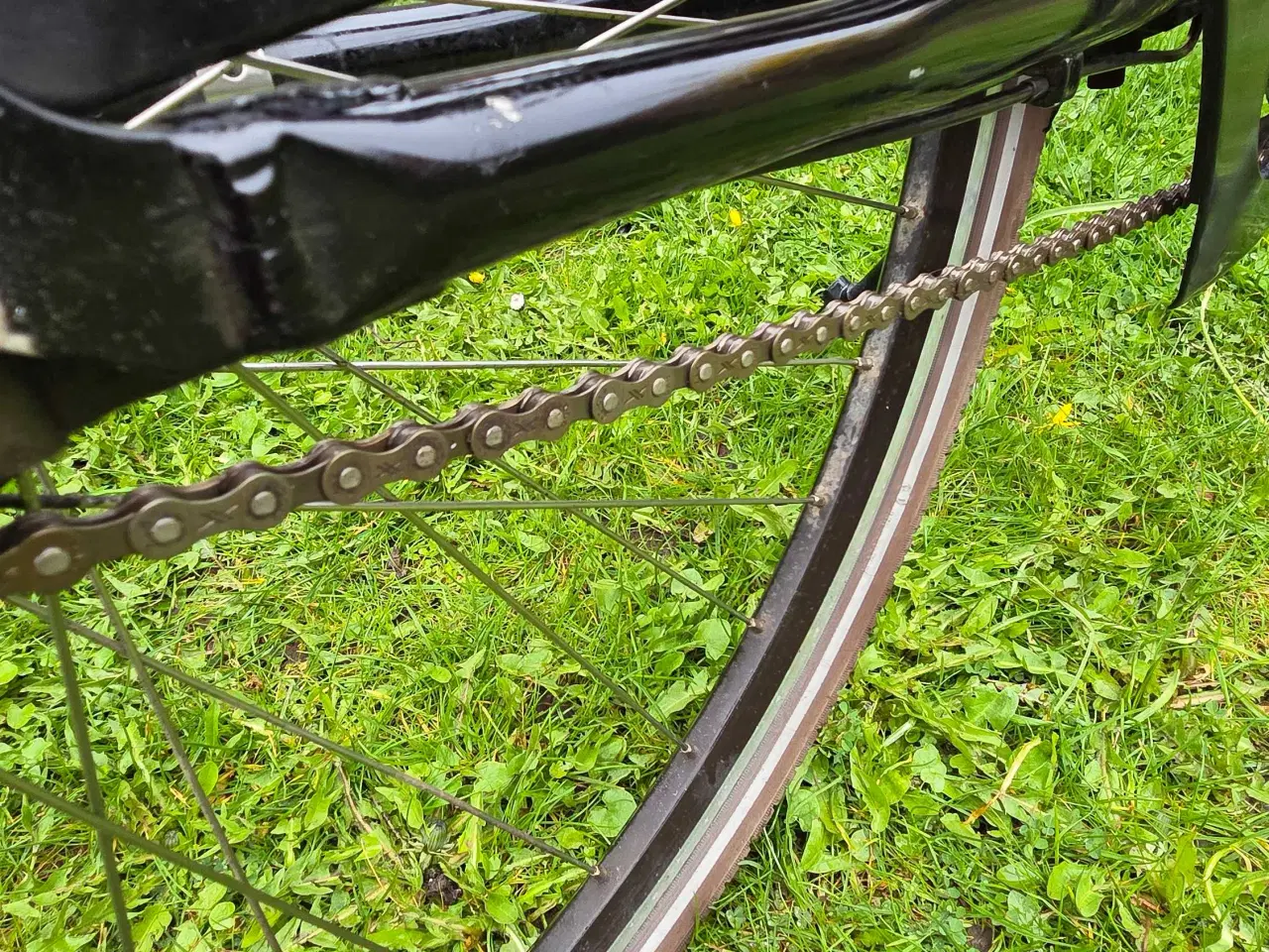 Billede 11 - EVERTON 53 cm 