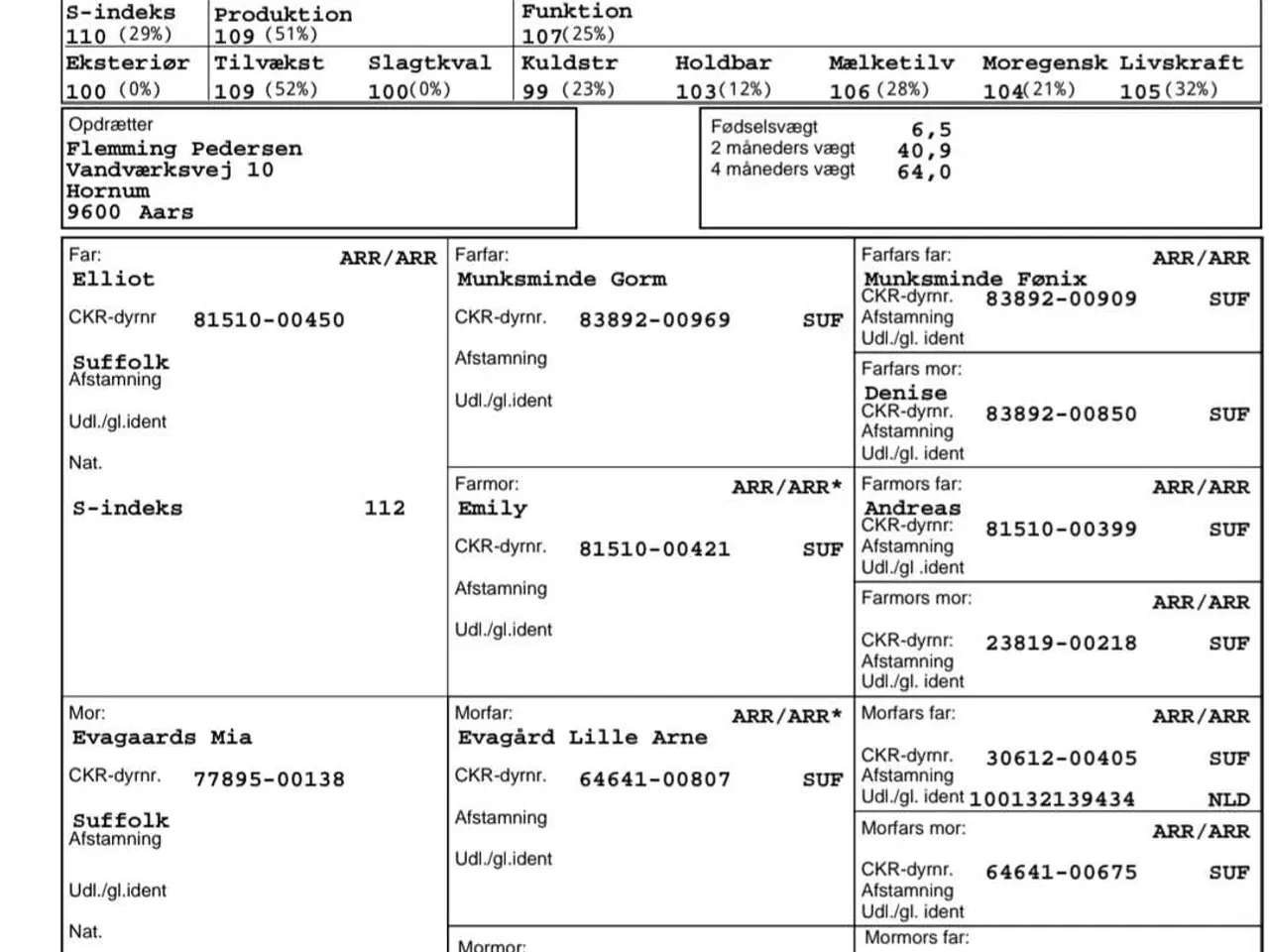 Billede 3 - Suffolk vædder sælges