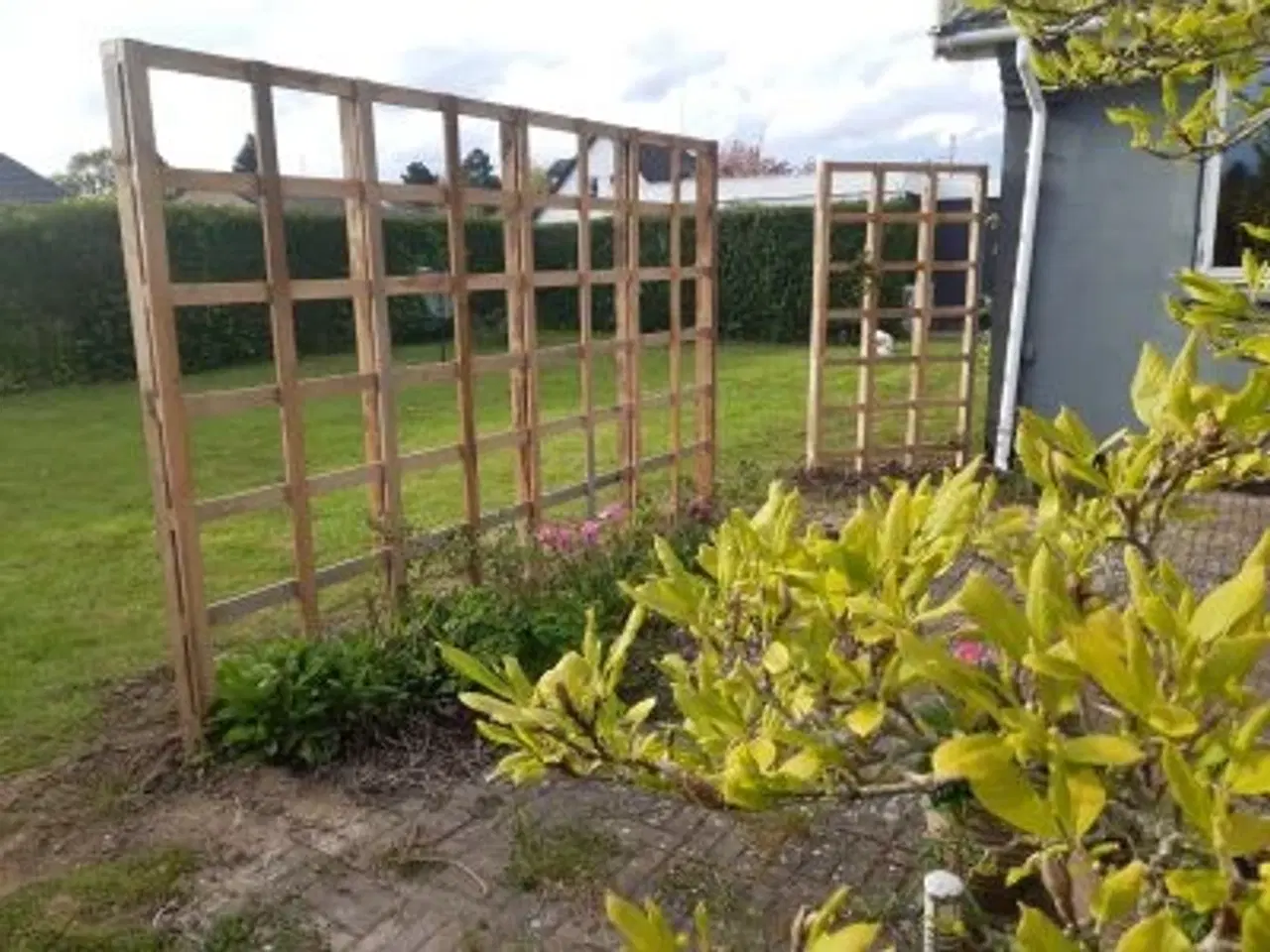 Billede 3 - Havehegn i egetræ - hele DK