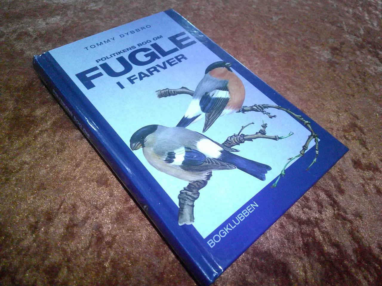 Billede 1 - Fugle i farver,  Tommy Dybbro