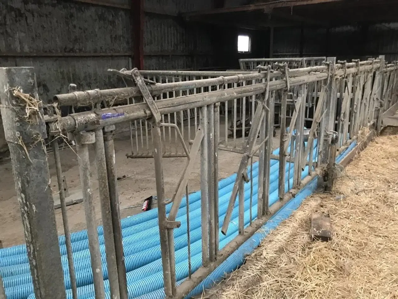 Billede 4 - Jyden Fanggitter til kvæg. Justerbar halsåbning