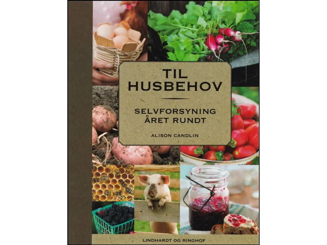 Billede 1 - Til husbehov - selvforsyning året rundt