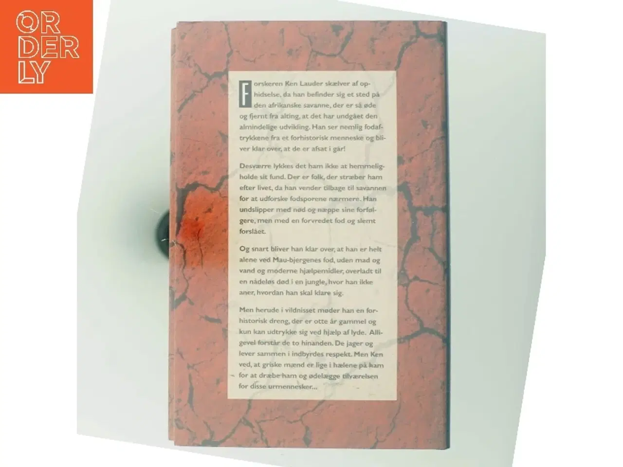 Billede 3 - Roman 'Et aftryk fra fortiden' af Petru Popescu