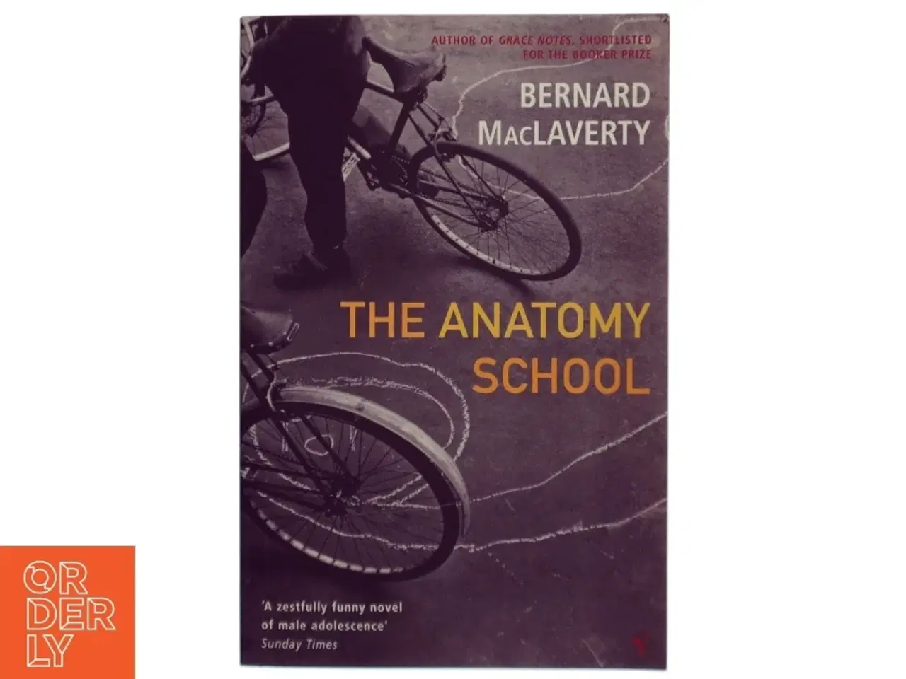 Billede 1 - The anatomy school af Bernard Mac Laverty (Bog)