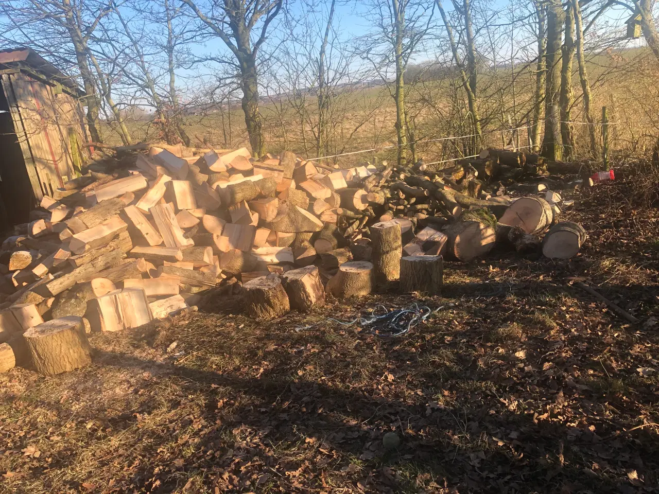 Billede 8 - Tørt rænde