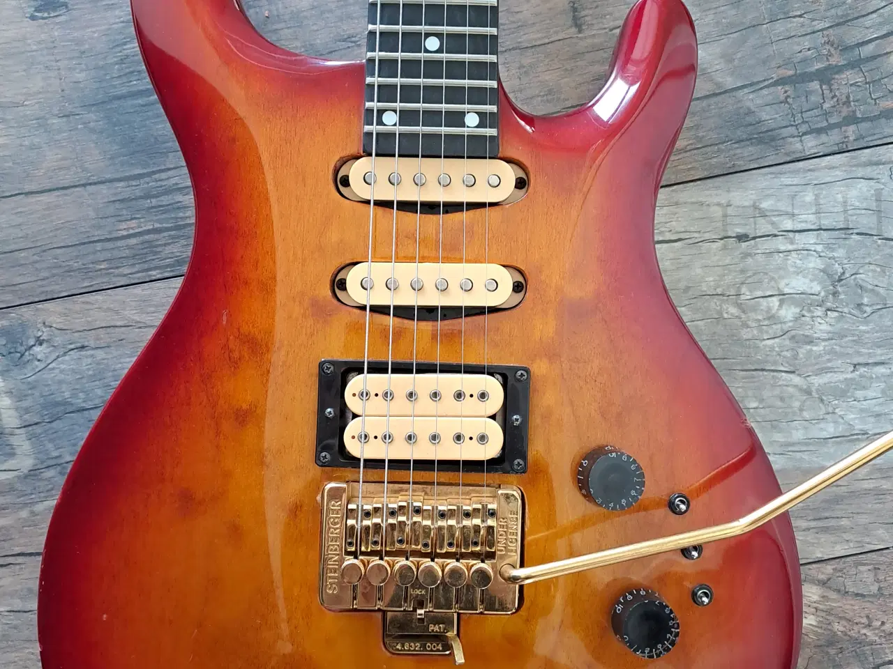 Billede 2 - Hohner Professional SG Lion