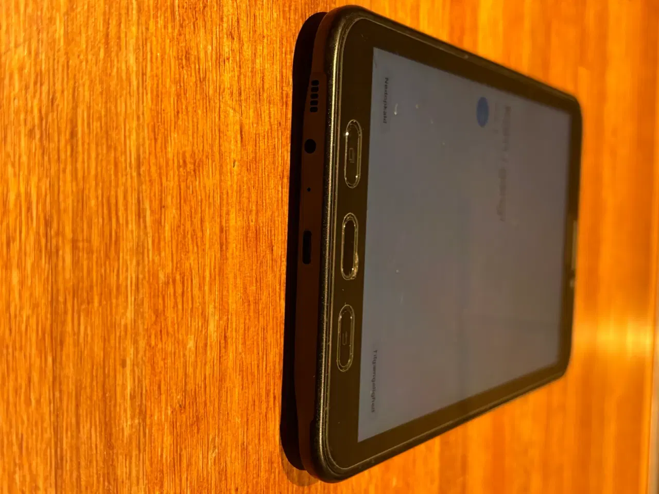 Billede 5 - Samsung Galaxy Tab Active 2 16GB