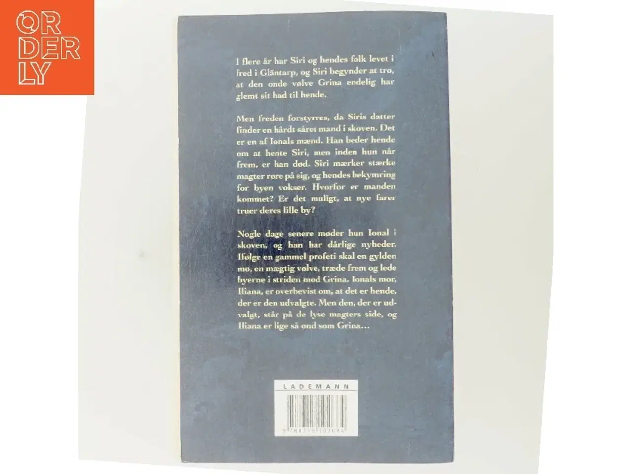 Billede 3 - Vindens øje af Saga Borg (Bog)