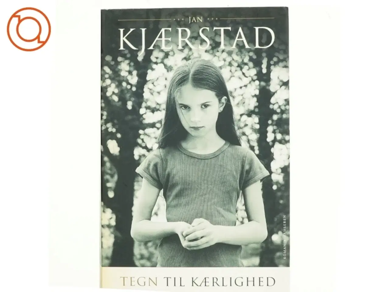 Billede 1 - Tegn til kærlighed : roman af Jan Kjærstad (Bog)