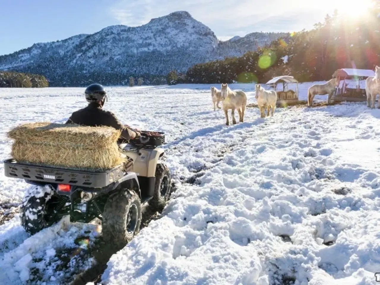 Billede 3 - Yamaha Kodiak 450 EPS Kiwami - Traktor