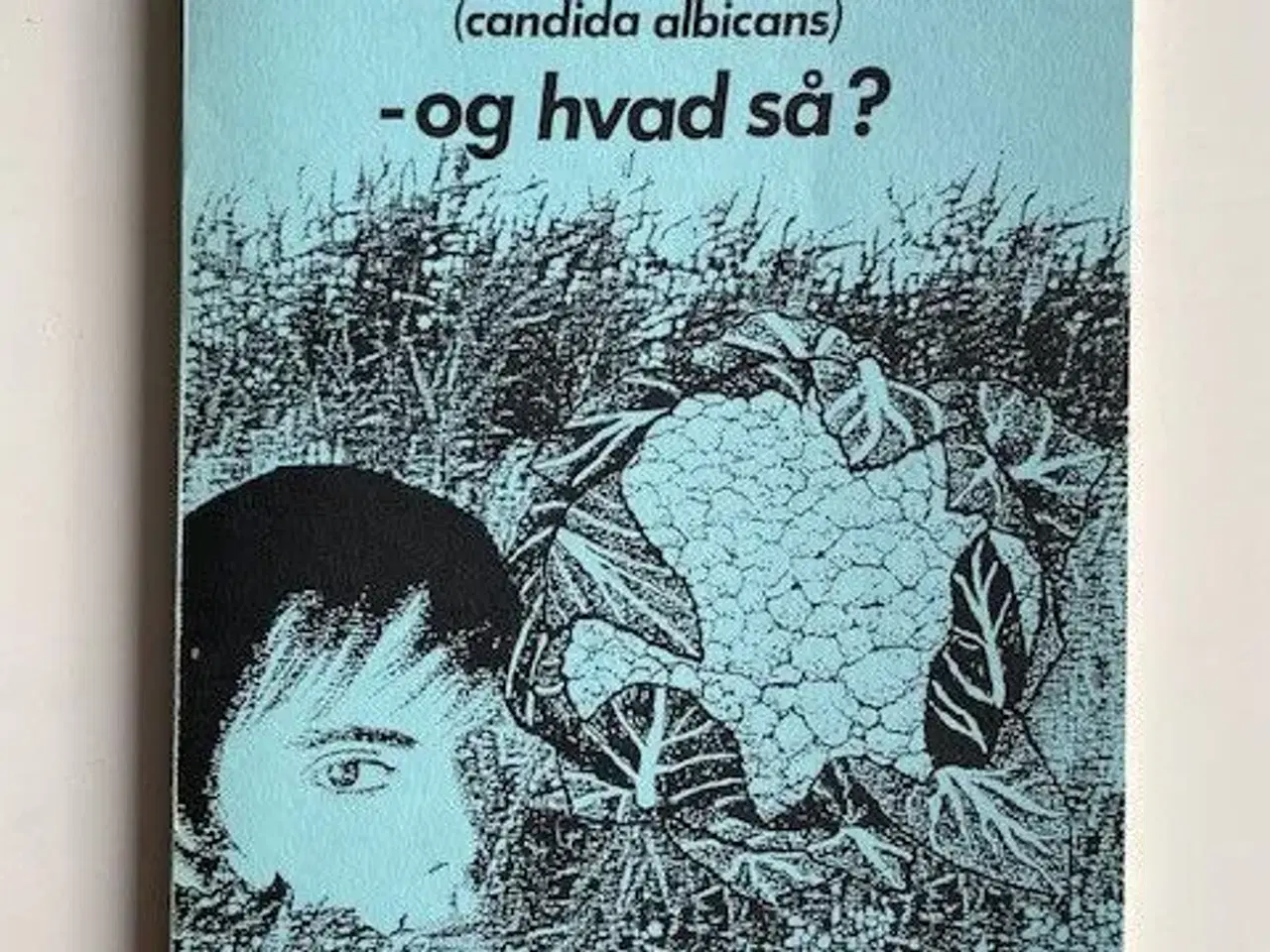 Billede 1 - Svampe-problemer - og hvad så