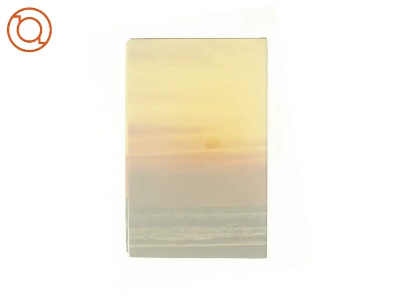 Billede 3 - Palm Beach af Pat Booth