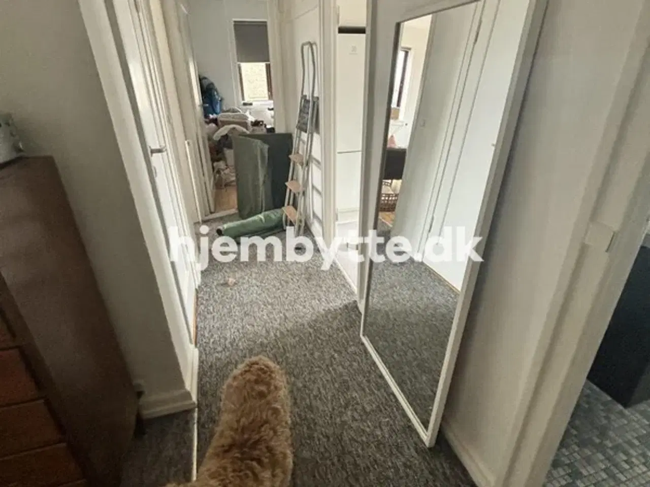 Billede 3 - Hjembytte - Dæmningen