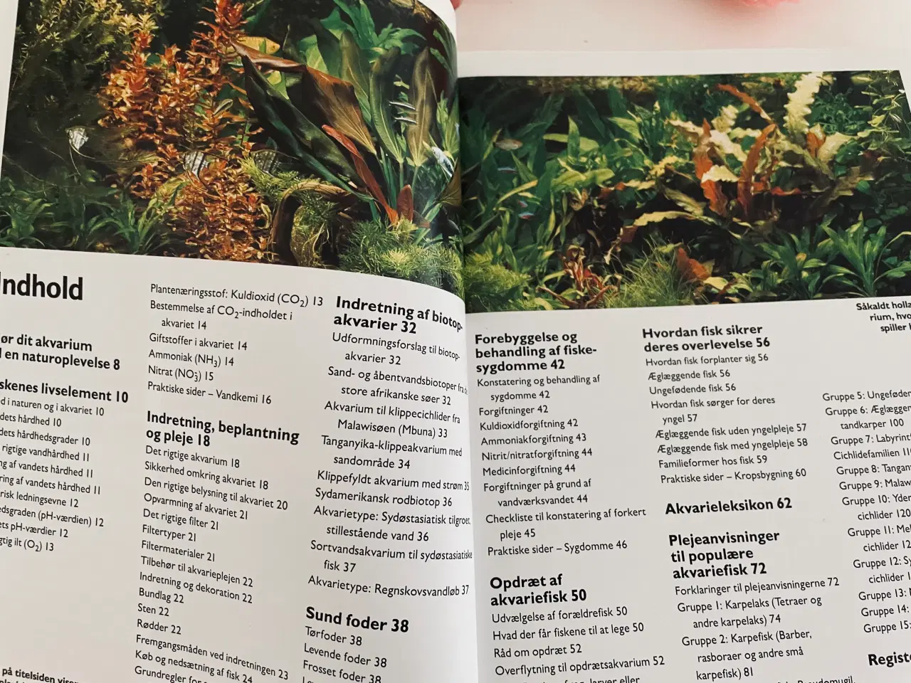 Billede 9 - Akvariefisk / akvarie håndbogen