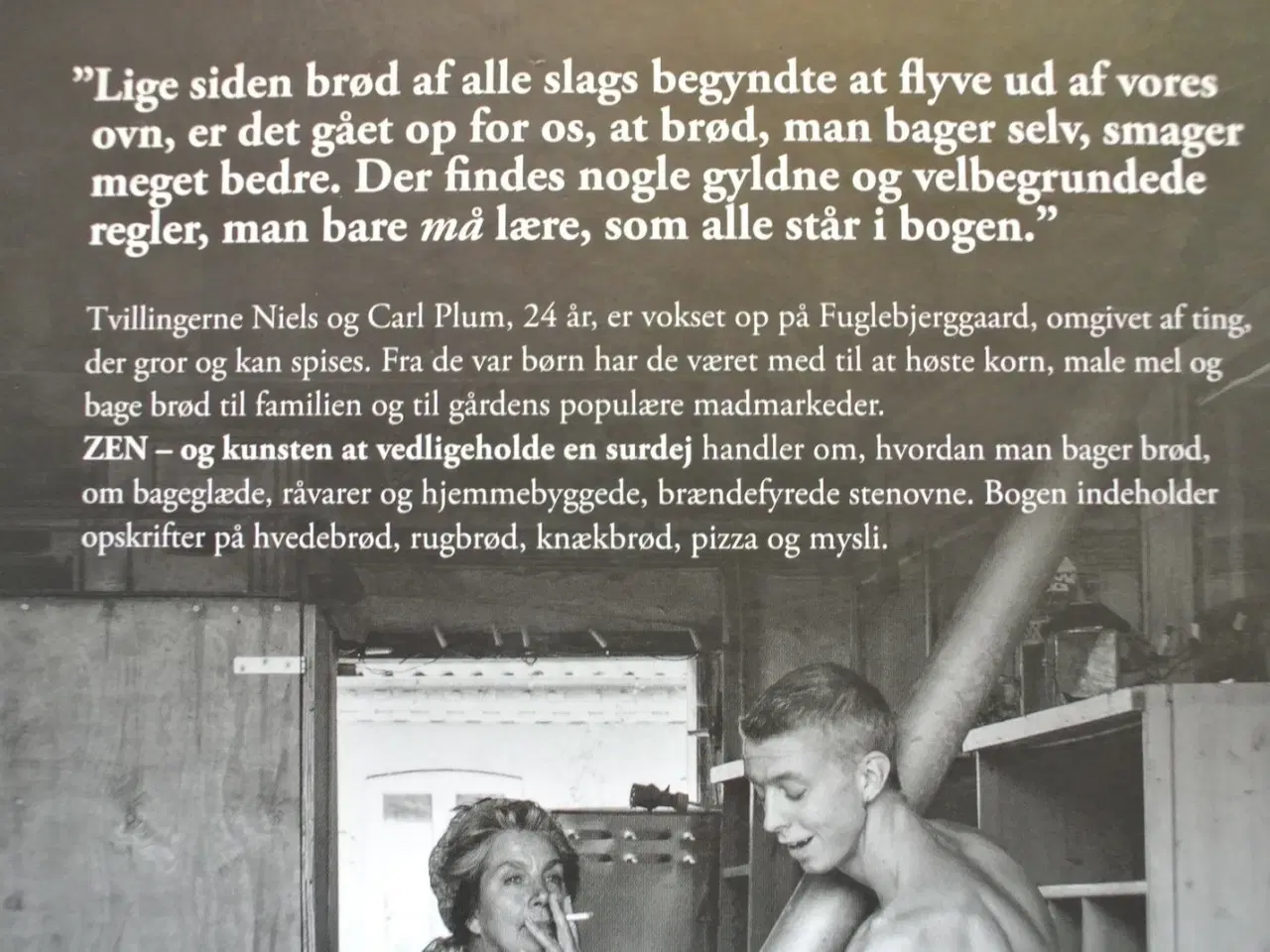 Billede 3 - zen - og kunsten at vedligeholde en surdej , af ni