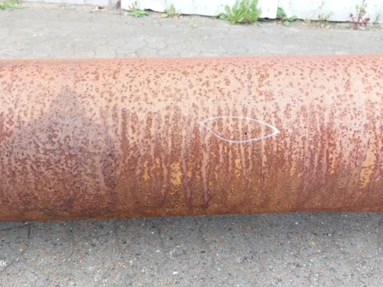 Billede 5 - Massey Ferguson 7280 Tømmerør 6.0M D28887264