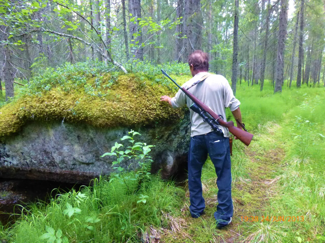 Billede 20 - Ødegård - Sverige Natur Jagt Fiske 