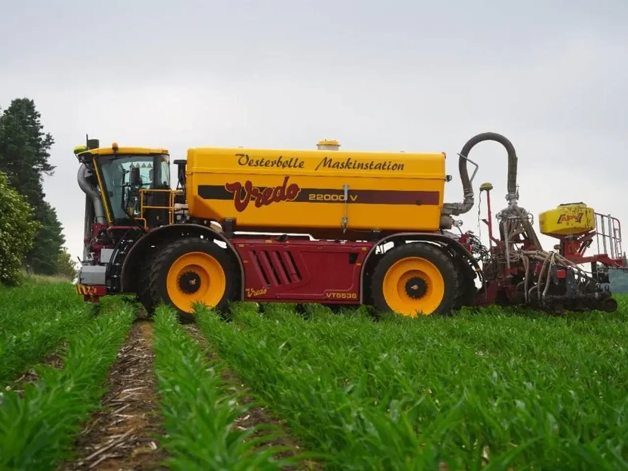 Billede 12 - - - - Evers Tribus renser SB 12- 150