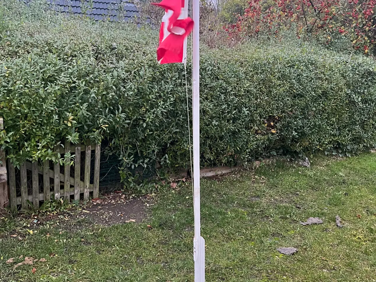 Billede 1 - Flag