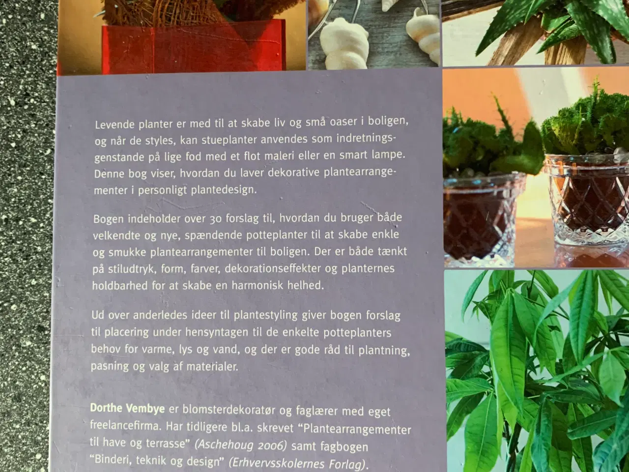 Billede 2 - Bog: plantedesign til hjemmet