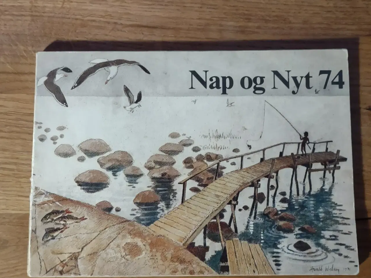 Billede 1 - Nap og Nyt 1974 – ABU fiskekatalog