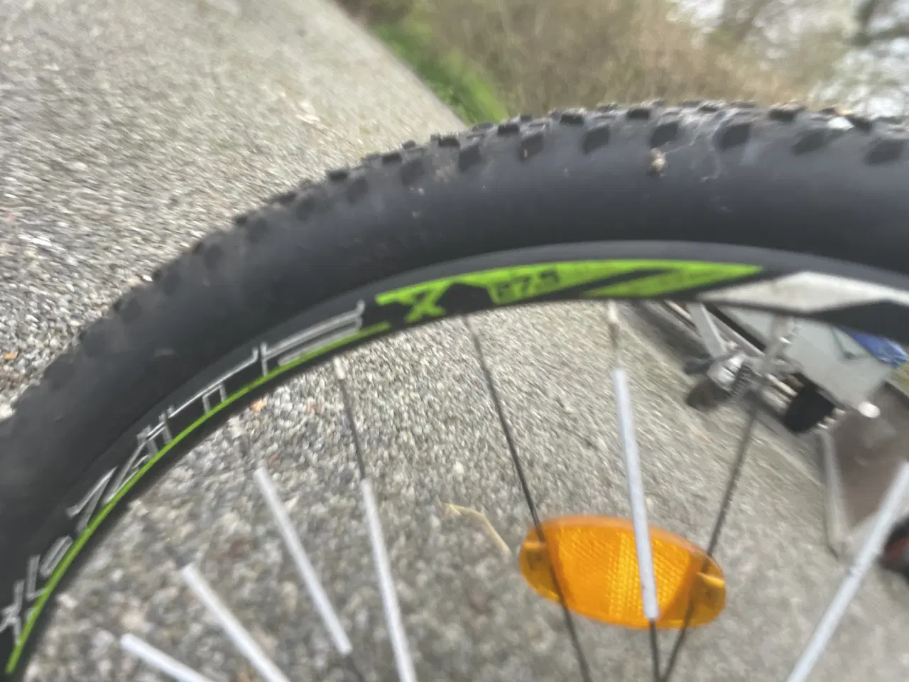 Billede 4 - Cykler kildmoes