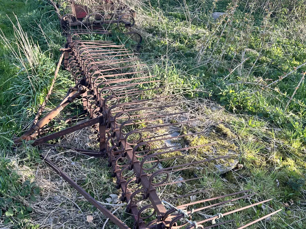 Billede 1 - Langfinger harve / Strile