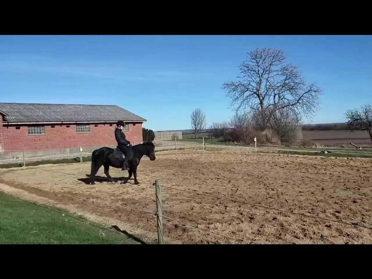 Billede 1 - Sød og ung lll pony