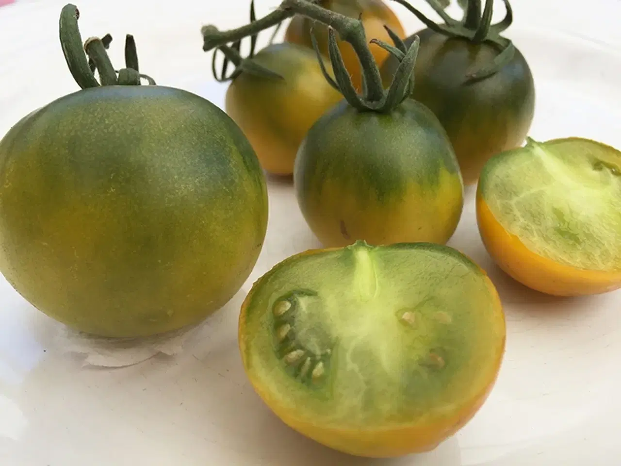 Billede 6 - Dyrk eksotiske tomatsorter