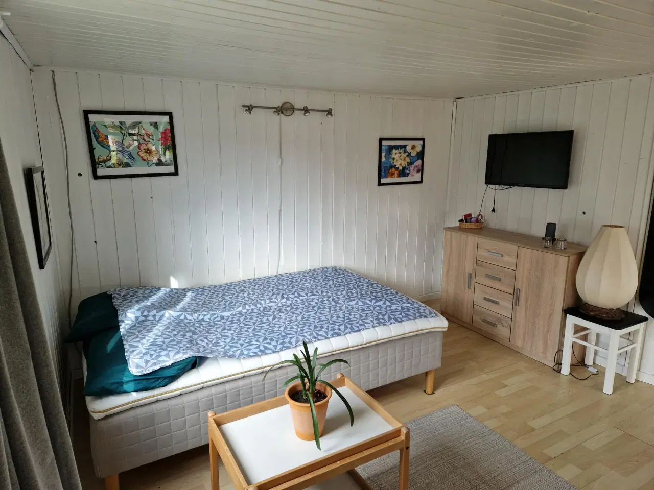 Billede 5 - Kolonihave i Odense C