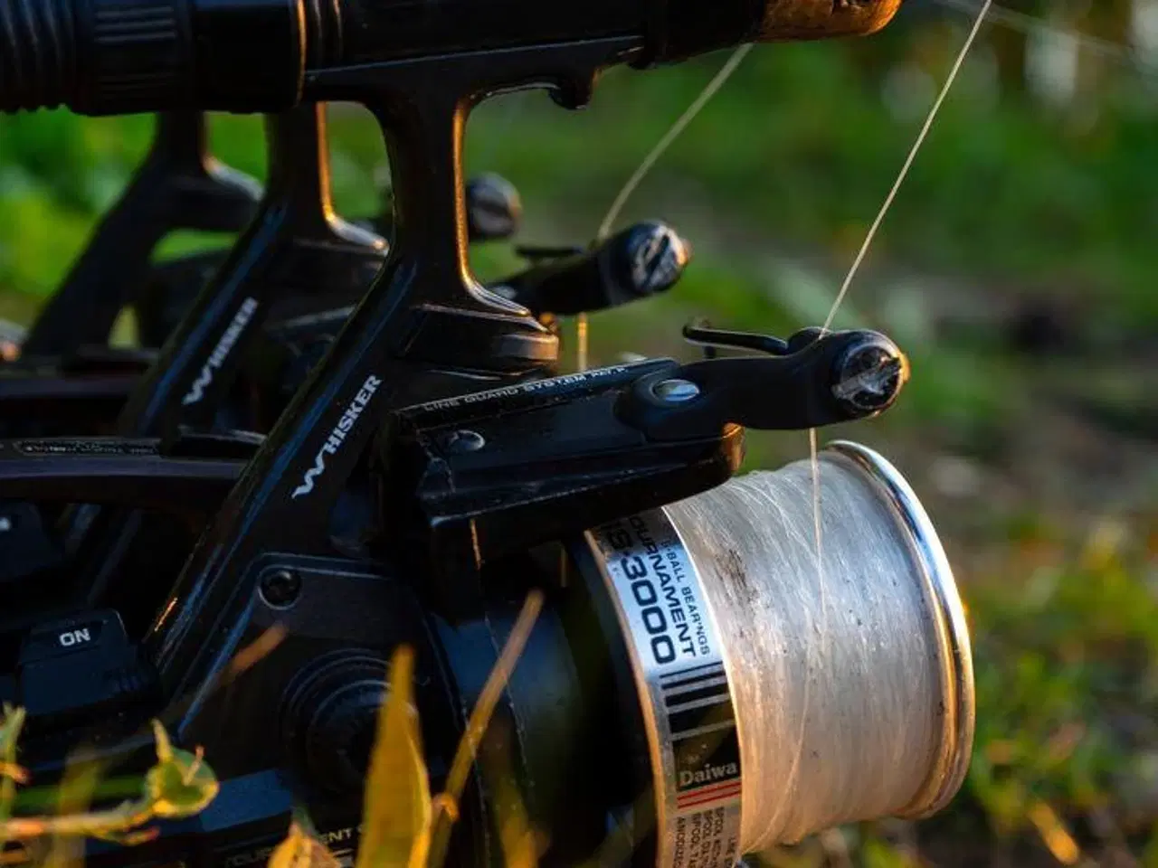 Billede 2 - 2 stk Daiwa Tournament SS3000