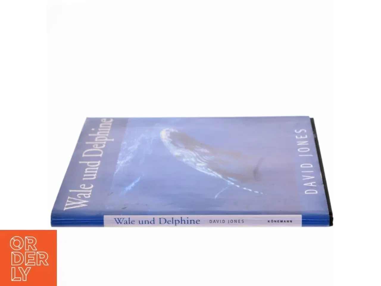 Billede 2 - Wale und Delphine af David Jones (Bog)
