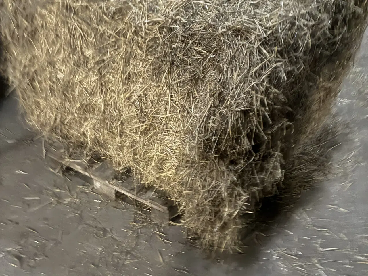 Billede 1 - Halmballe